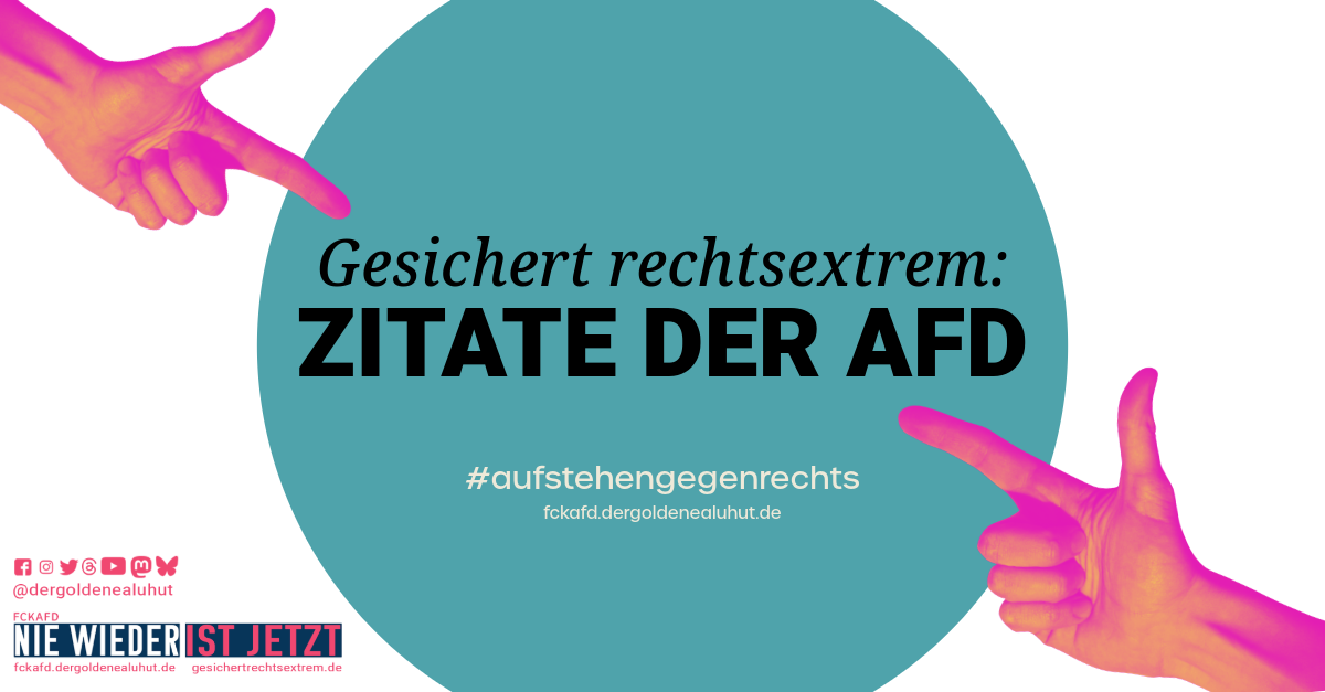 Zitate ehemaliger AfDMitglieder